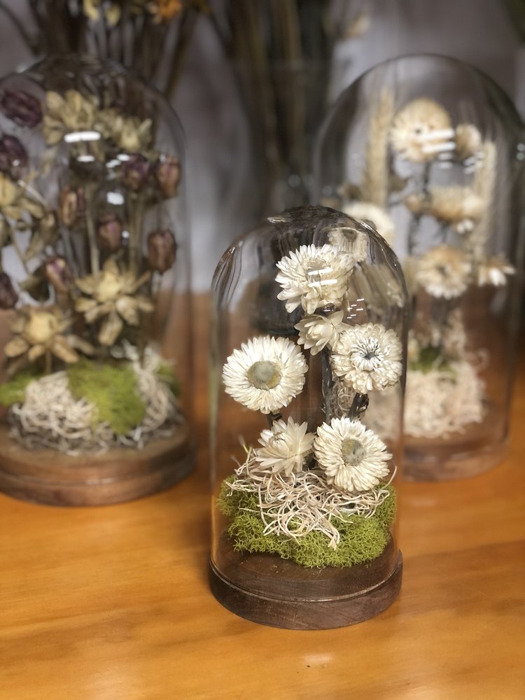 Dried Flower Cloche