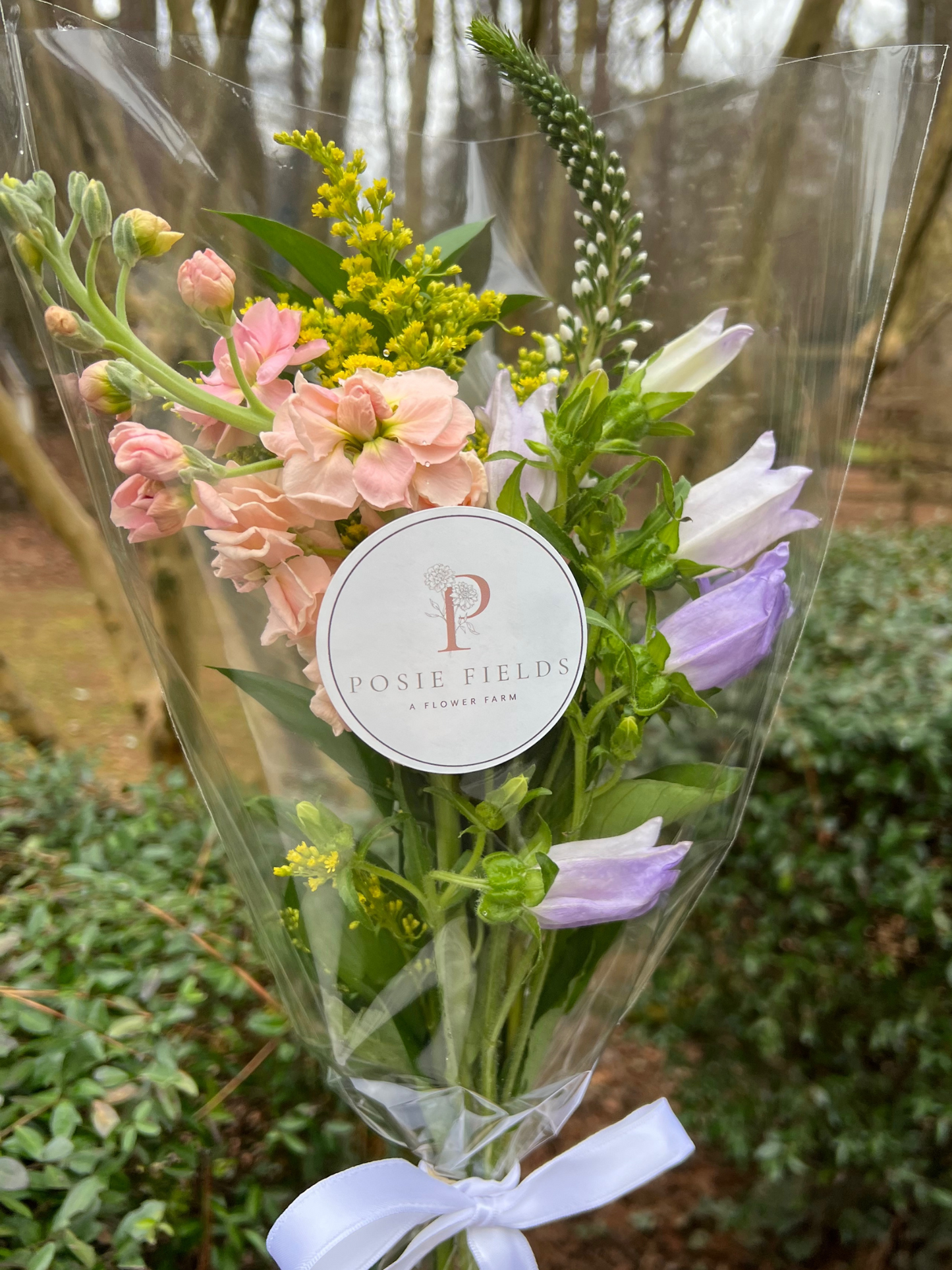 Beautiful Posie Bouquet