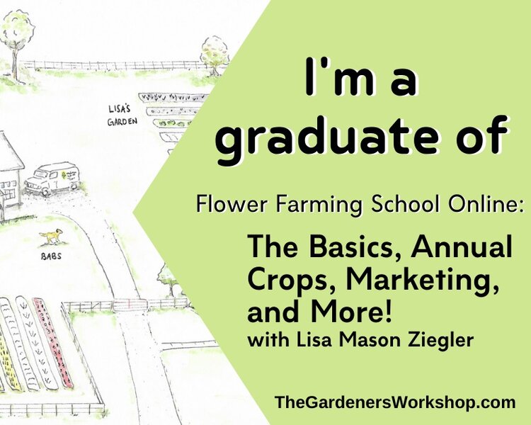 Flower Farming School Lisa Mason Ziegler thegardenersworkshop.com