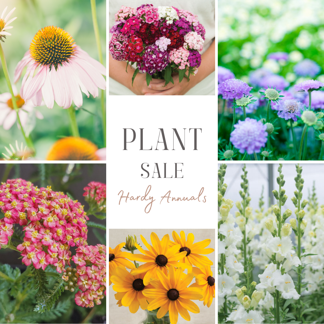 Grow Your Own Spring Cutting Garden Fall-Planted for Spring 2027 Blooms