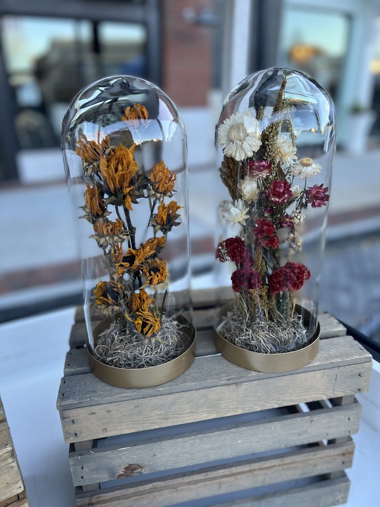 Dried Flower Cloche – Posie Fields